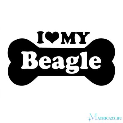Beagle matrica 6