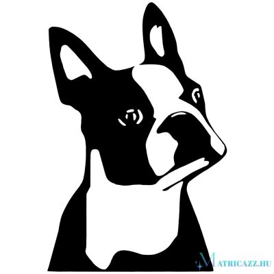 Boston terrier matrica 2