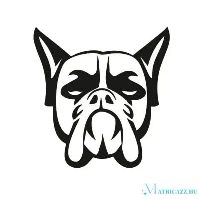 Boxer matrica 10