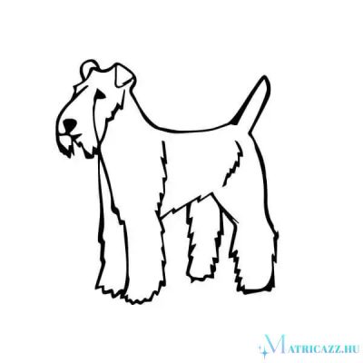Foxterrier matrica 6