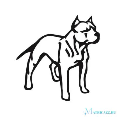 Pitbull matrica 5