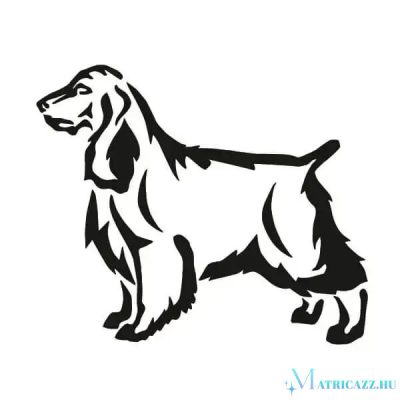 Spániel matrica 4