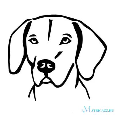 Vizsla matrica 9