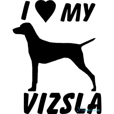 Vizsla matrica 12