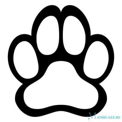 Vizsla matrica 13