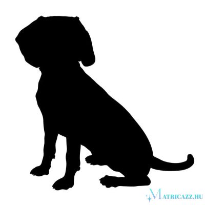 Beagle matrica 16