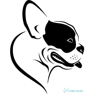 Boston terrier matrica 16