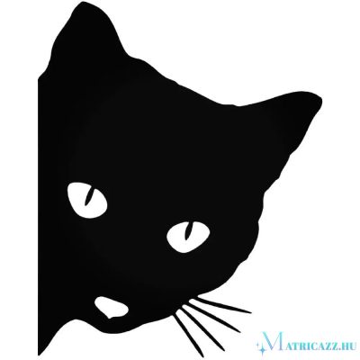 Figyelő Macska matrica