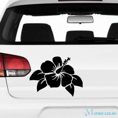 Hibiszkusz Autómatrica