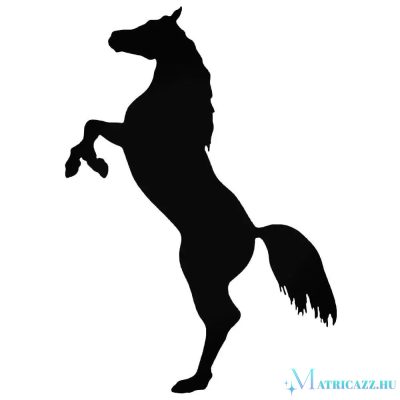 Két lábon a paci matrica