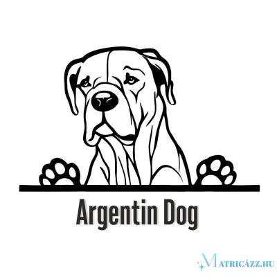 Argentin dog matrica 30 cm