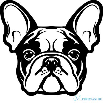 Francia bulldog matrica 24