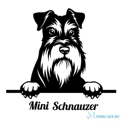 Mini Schnauzer matrica