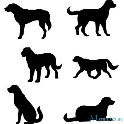 Bernáthegyi matrica szett