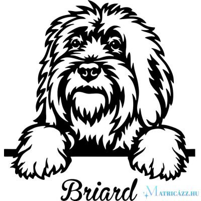 Briard matrica 1