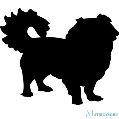 Pekingi palotakutya matrica 1