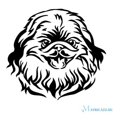 Pekingi palotapincsi matrica