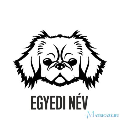 Egyedi neves Pekingi palotakutya matrica