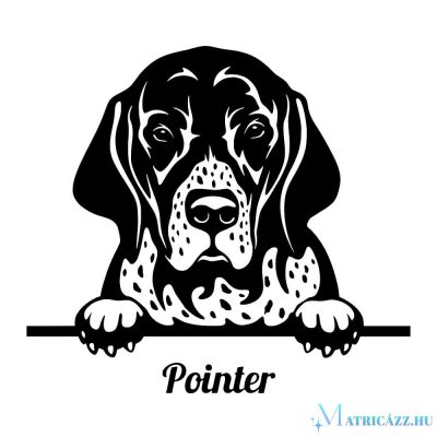 Pointer matrica 1