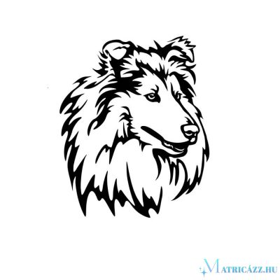 Skót juhászkutya matrica 5