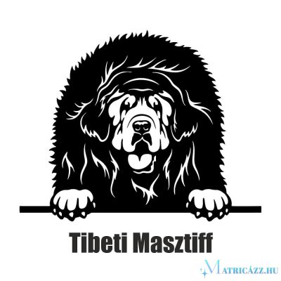 Tibeti masztiff matrica 2