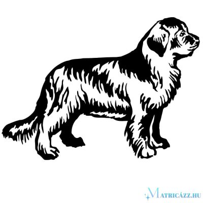 Újfundlandi matrica 2