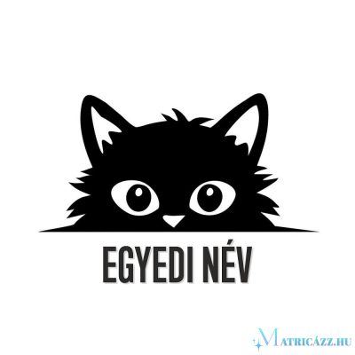 Egyedi neves macska matrica