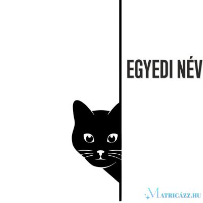 Cicás matrica egyedi névvel