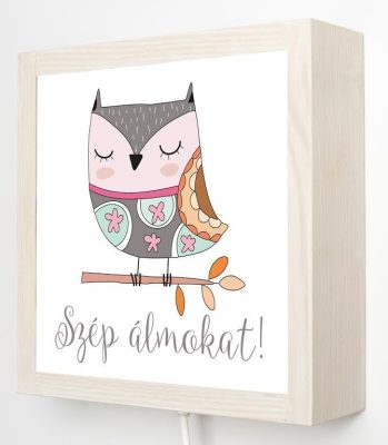 Álmos bagoly éjjeli fény, kis szépséghibával