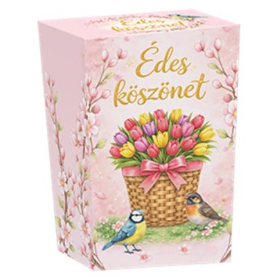 Chocolips Édes köszönet praliné 120g