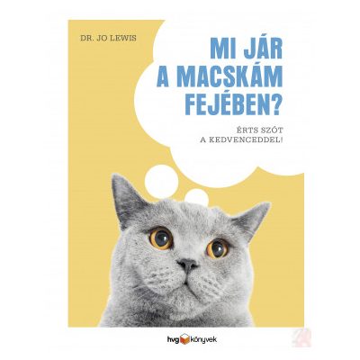 MI JÁR A MACSKÁM FEJÉBEN?