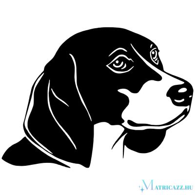 Beagle matrica 0