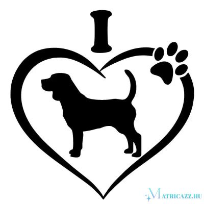 Beagle matrica 9