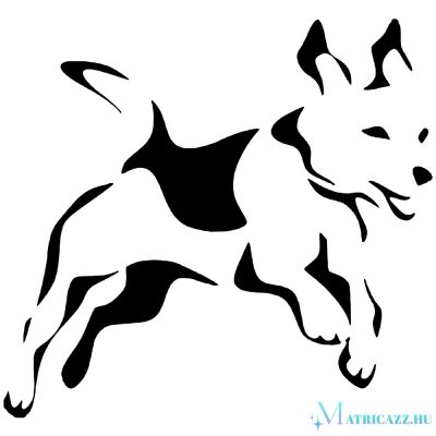 Beagle matrica 12