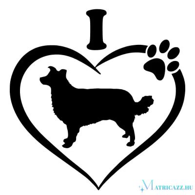 Border collie matrica 7