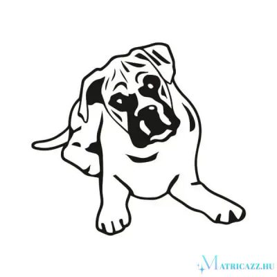 Boxer matrica 5
