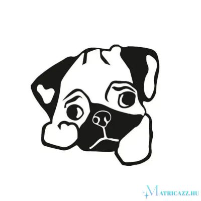 Boxer matrica 9