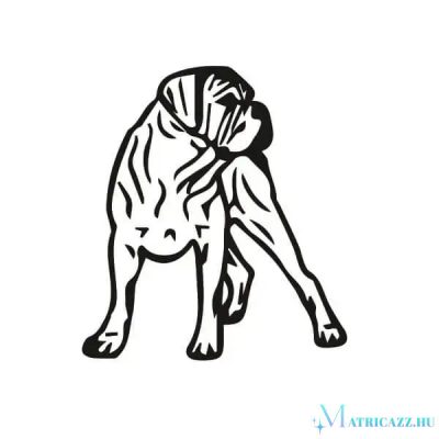 Cane corso matrica 5