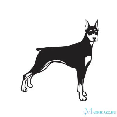 Dobermann matrica 12