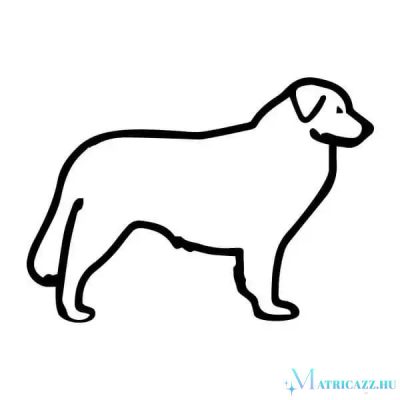 Kuvasz matrica 1