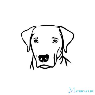Labrador matrica 10