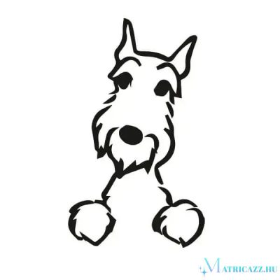 Schnauzer matrica 4