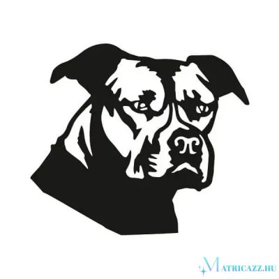 Amstaff matrica 1