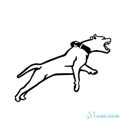Amstaff matrica 3