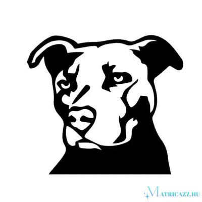 Amstaff matrica 4