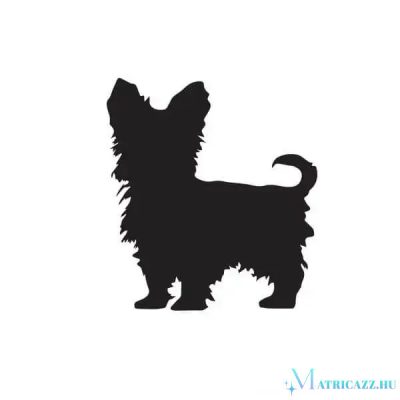 Yorki matrica 6