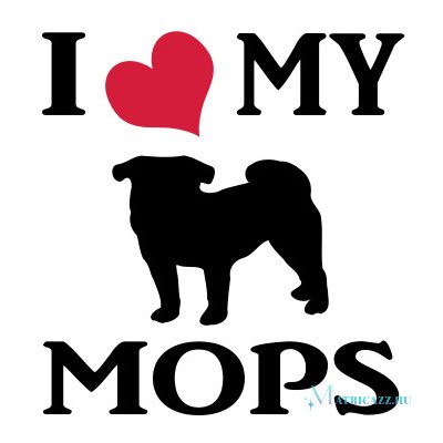 Mopsz matrica 24