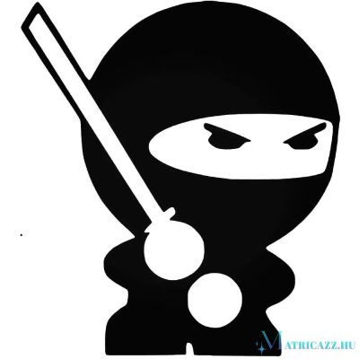 Kicsi ninja matrica