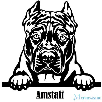 Díszes Amstaff matrica