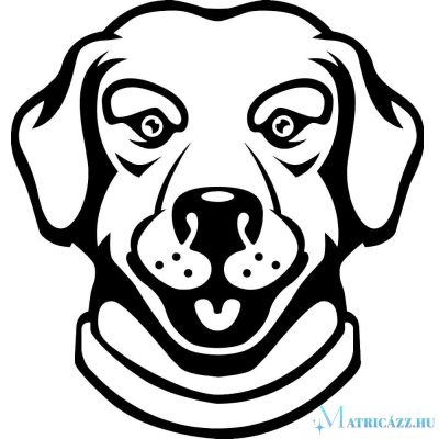 Labrador matrica 20